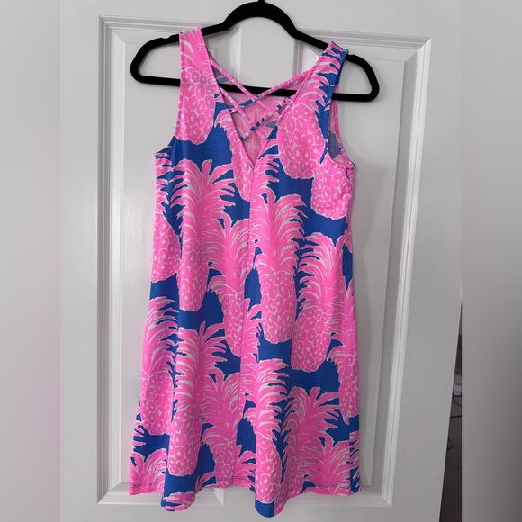 Lilly Pulitzer Kristen Swing Dress SZ S Blue Haven Little Flamenco - Picture 4 of 13